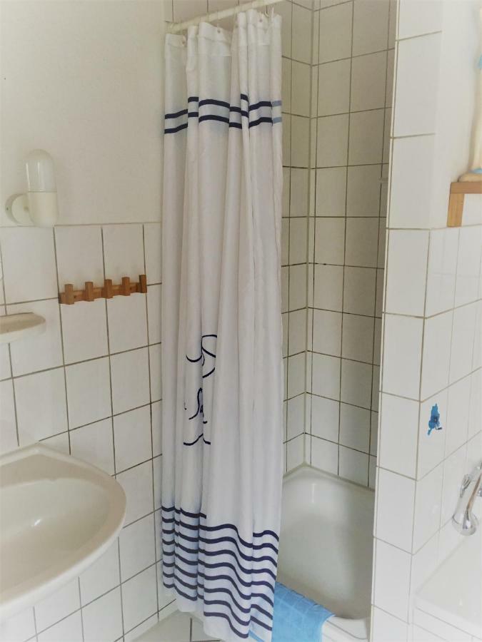 Muschel * Fehmarn